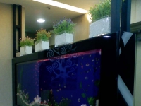 성남 mbc아카데…