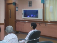 진주펄형 - 설…